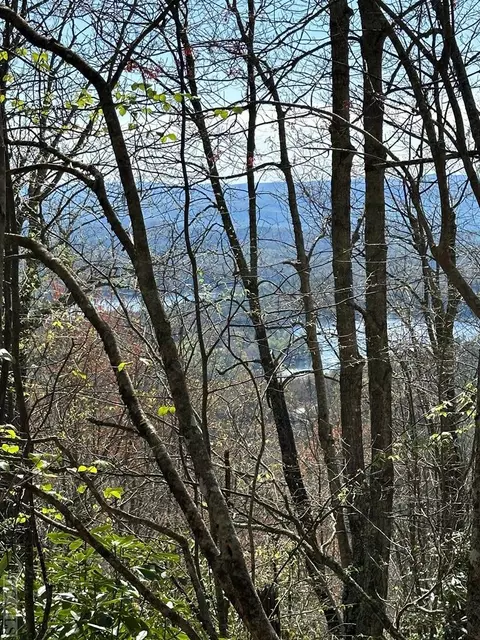 87 Ridge Colony Ln, Lake Toxaway, NC 28747