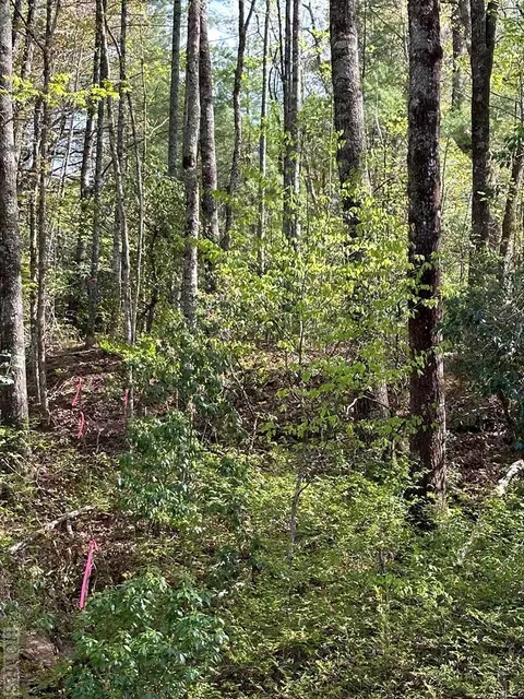 tbd Blue Ridge Rd, Lake Toxaway, NC 28747