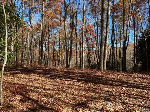 lot45 Roaming Rd, Glenville, NC 28736