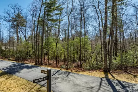 lot15 Lichen Ln, Cashiers, NC 28717