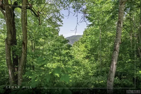 lot1 Parsons Vw, Cashiers, NC 28717