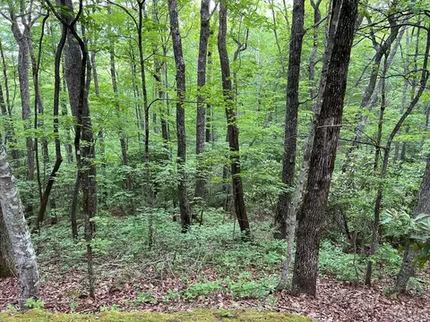 lot Apt 11 Shephards Gap, Cullowhee, NC 28723 photo 4