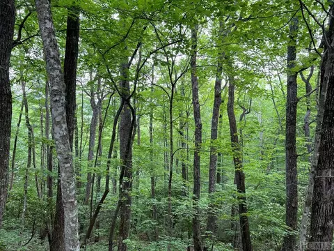 lot Apt 11 Shephards Gap, Cullowhee, NC 28723 photo 2