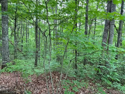 lot Apt 11 Shephards Gap, Cullowhee, NC 28723 photo 3