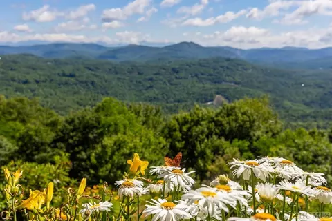 871 E Over Drive Dr, Highlands, NC 28741 photo 41