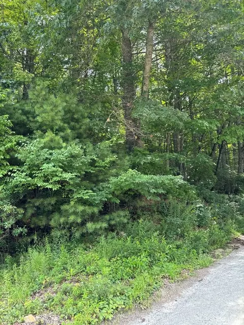 A Jurasic Drive, Cashiers, NC 28717