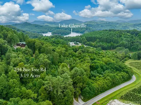 234 Bee Tree Rd, Glenville, NC 28736