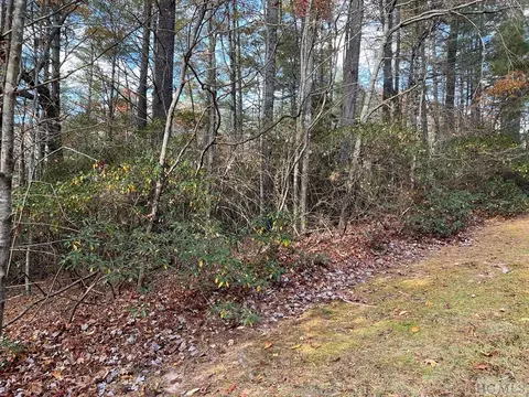 lot71 Big Pine Rd, Sapphire, NC 28774 photo 3