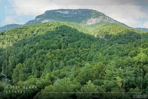 lot28 Twin Lakes Dr, Cashiers, NC 28717