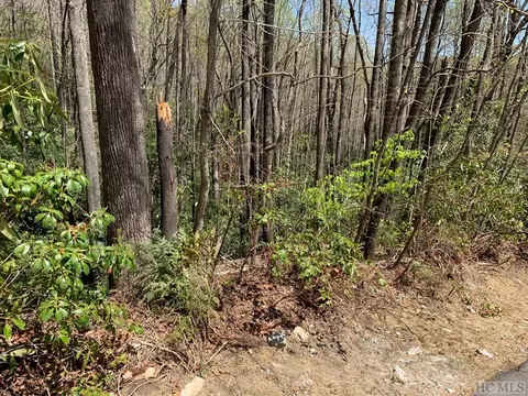 lot31 Beech Ct, Sapphire, NC 28774 photo 2