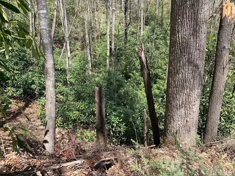 lot31 Beech Ct, Sapphire, NC 28774 photo 1