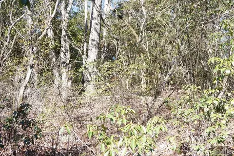 tbd Hemlock Cir, Highlands, NC 28741 photo 2