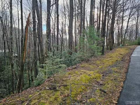 54 Black Oak Dr, Sapphire, NC 28744