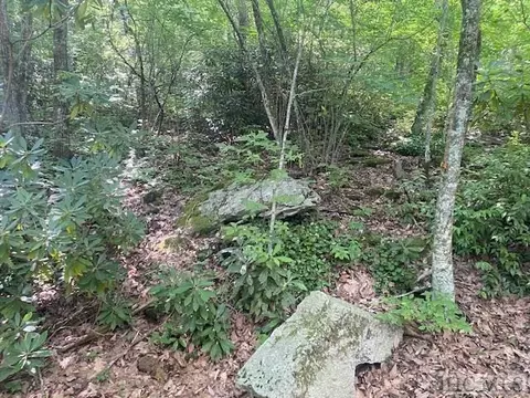 N/a N/a, Scaly Mountain, NC 28775 photo 6