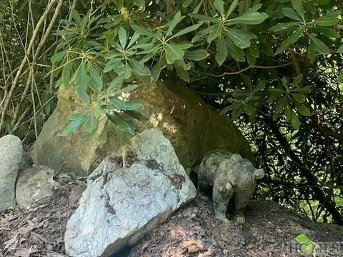 N/a N/a, Scaly Mountain, NC 28775 photo 8