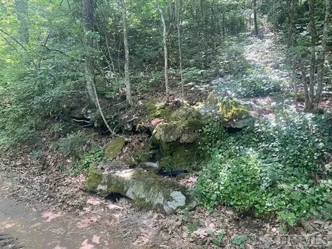 N/a N/a, Scaly Mountain, NC 28775 photo 7