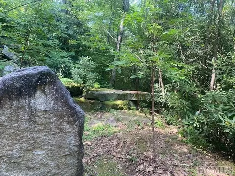 N/a N/a, Scaly Mountain, NC 28775 photo 3