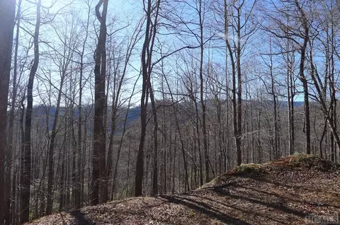 On Crestview Drive, Otto, NC 28763 photo 5