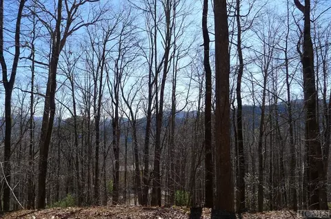 On Crestview Drive, Otto, NC 28763 photo 4