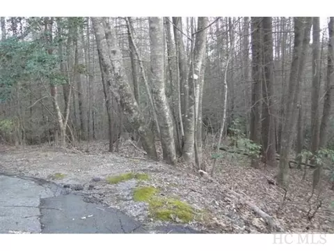 lot27 Beech Ct, Sapphire, NC 28774 photo 1