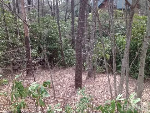lot80 Bald Eagle Ct, Sapphire, NC 28774 photo 1