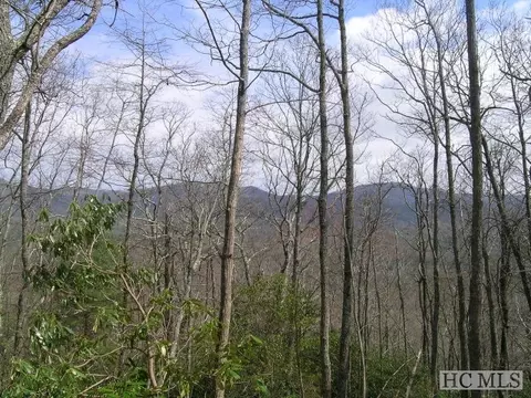 13 Golf View Rd, Sapphire, NC 28774 photo 1