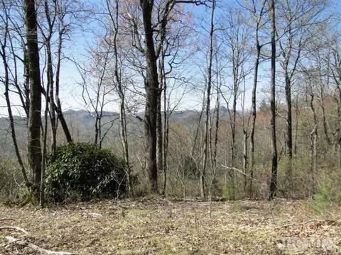 16 Elysium Trl, Sapphire, NC 28774 photo 1