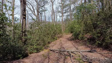 00 Lot 7 Tower Rd, Sapphire, NC 28774 photo 20