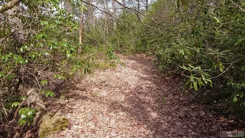 00 Lot 7 Tower Rd, Sapphire, NC 28774 photo 21