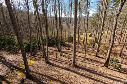 103 Old Forester Trl, Cullowhee, NC 28723 photo 38