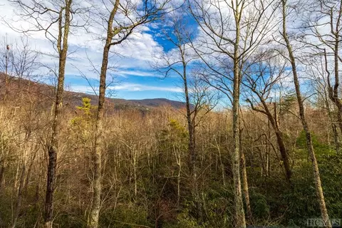 54 Bald Eagle Ct, Sapphire, NC 28774 photo 4