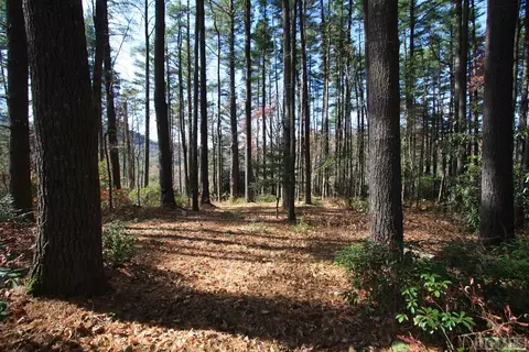 4 Pine Frst, Cashiers, NC 28774 photo 8