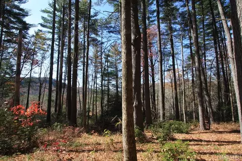 4 Pine Frst, Cashiers, NC 28774 photo 2