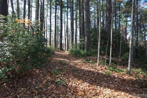 4 Pine Frst, Cashiers, NC 28774 photo 6