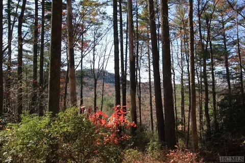 4 Pine Frst, Cashiers, NC 28774 photo 1