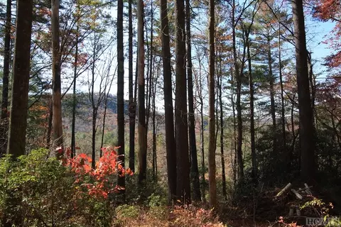 4 Pine Frst, Cashiers, NC 28774 photo 7