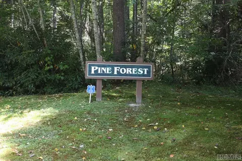 4 Pine Frst, Cashiers, NC 28774 photo 9