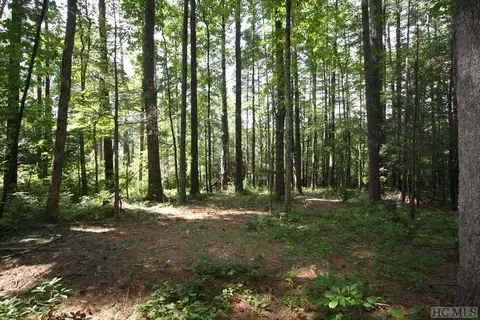4 Pine Frst, Cashiers, NC 28774 photo 4