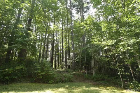 4 Pine Frst, Cashiers, NC 28774 photo 5
