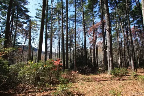 4 Pine Frst, Cashiers, NC 28774 photo 3