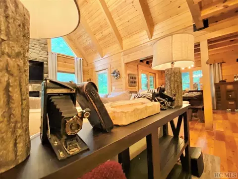 42 Pine Frst, Sapphire, NC 28774 photo 32