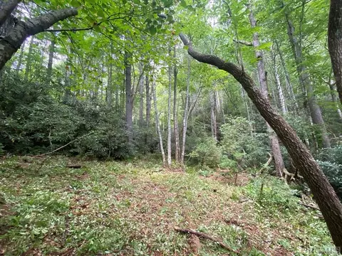 lot8 Wandering Rdg, Cashiers, NC 28717