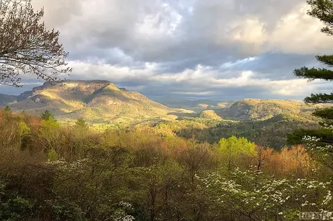 146 Bear Log Rd, Cashiers, NC 28717 photo 42