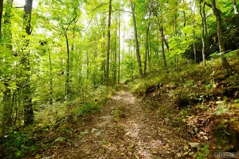 Off Jack Wilcox, Highlands, NC 28741 photo 19