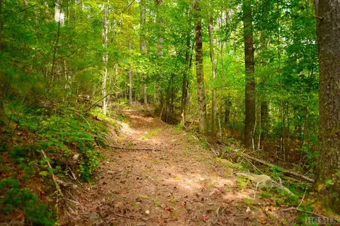 Off Jack Wilcox, Highlands, NC 28741 photo 23