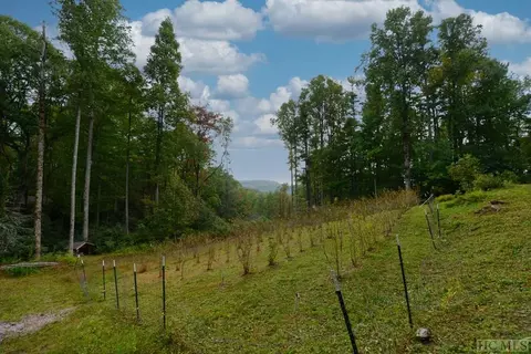 Off Jack Wilcox, Highlands, NC 28741 photo 16