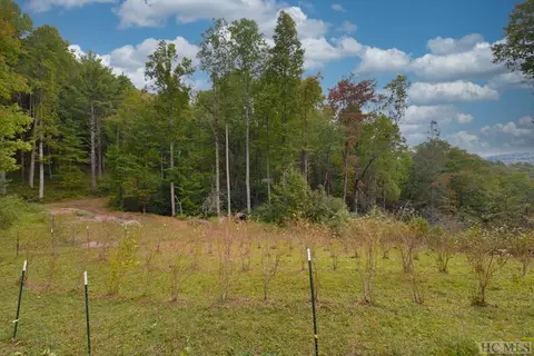 Off Jack Wilcox, Highlands, NC 28741 photo 15
