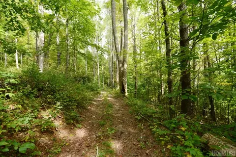 Off Jack Wilcox, Highlands, NC 28741 photo 18