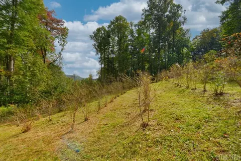 Off Jack Wilcox, Highlands, NC 28741 photo 25