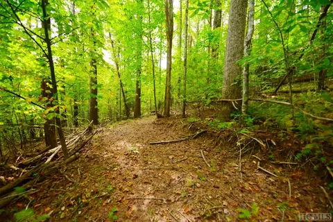 Off Jack Wilcox, Highlands, NC 28741 photo 21